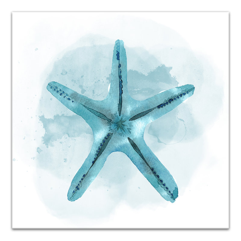 Sarcelle étoile de mer-reproduction d’art sur toile tendue