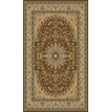 Infinity Oriental Area Rug in Brown