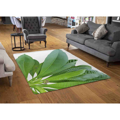 Miriyam Area Rug
