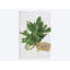 « menthe », impression sur toile-32866238-72230888-72230889