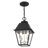 2 - Light Outdoor Hanging Lantern