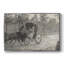"Vintage Animal - XXV III" sur toile-1603835109-1603835107