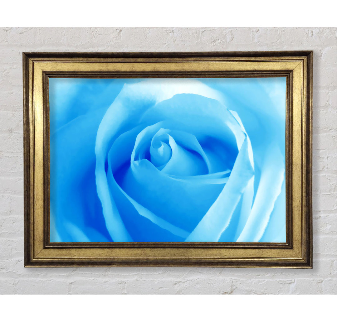 Baby Blue Rose - Einzelner Bilderrahmen Kunstdrucke