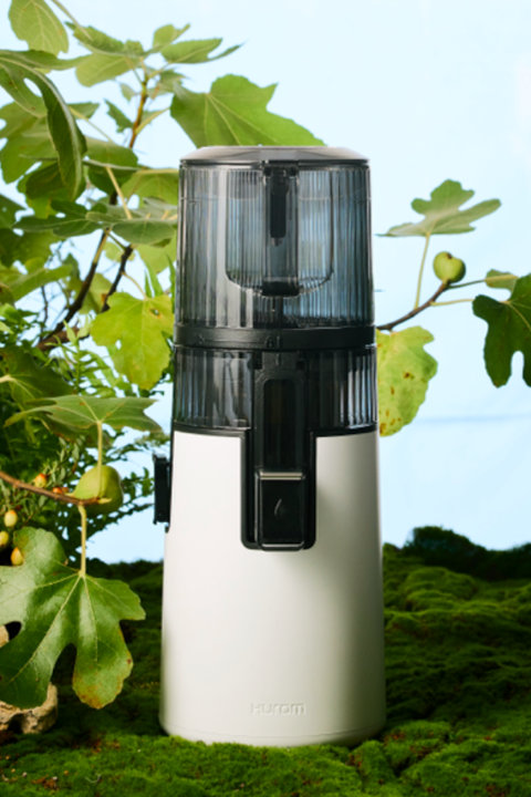 H70 Easy Clean Slow Juicer