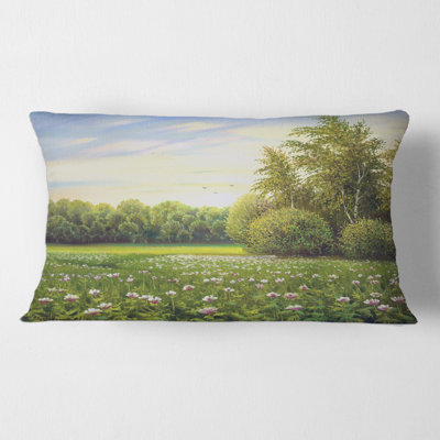 Throw Pillow