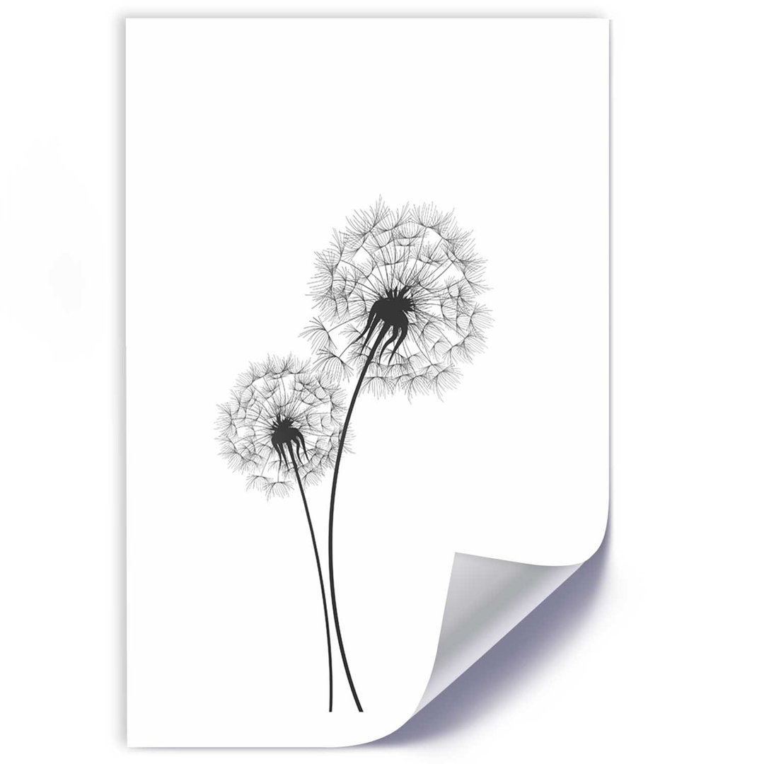 Grafikdruck Drawn Two Dandelions