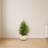Olive Cone Artificial Topiary Tree in Planter