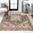 Chapell Chenille Mid-Century Medallion Machine-Washable Black/Terra Rug-262722819