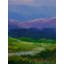 Hillside Flower Valley | Mix Media On Canvas | By Kshirsagar Sanjay Krishna