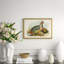 Pheasants From Gould's Birds Of Australia 20 Giclee Print