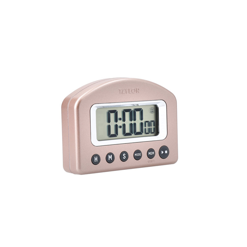 Taylor Pro Digital Scale