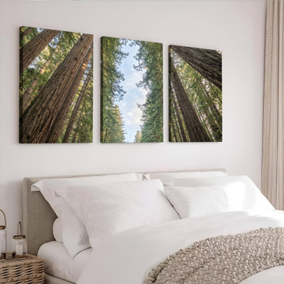 Ensemble de 3 tableaux sur toile « Ciel de forêt » pour la décoration du salon et de la chambre.