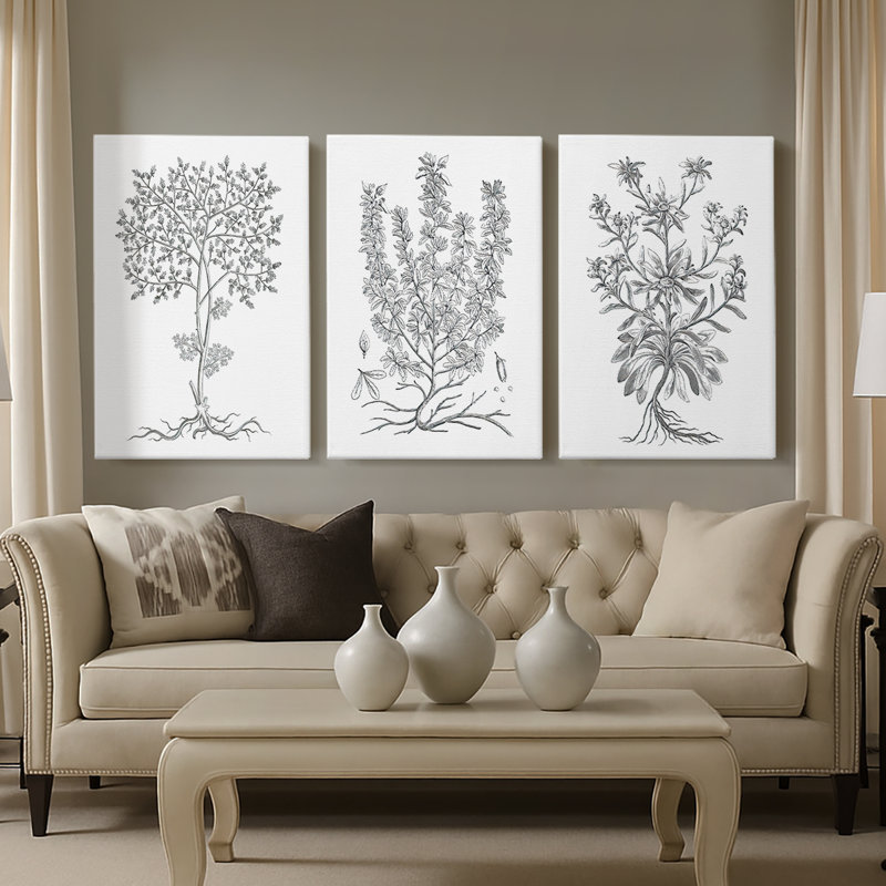 B&W Plant Specule IV - Toile tendue sur mesure avec châssis - 3 pièces, H 12 po x l 24 po