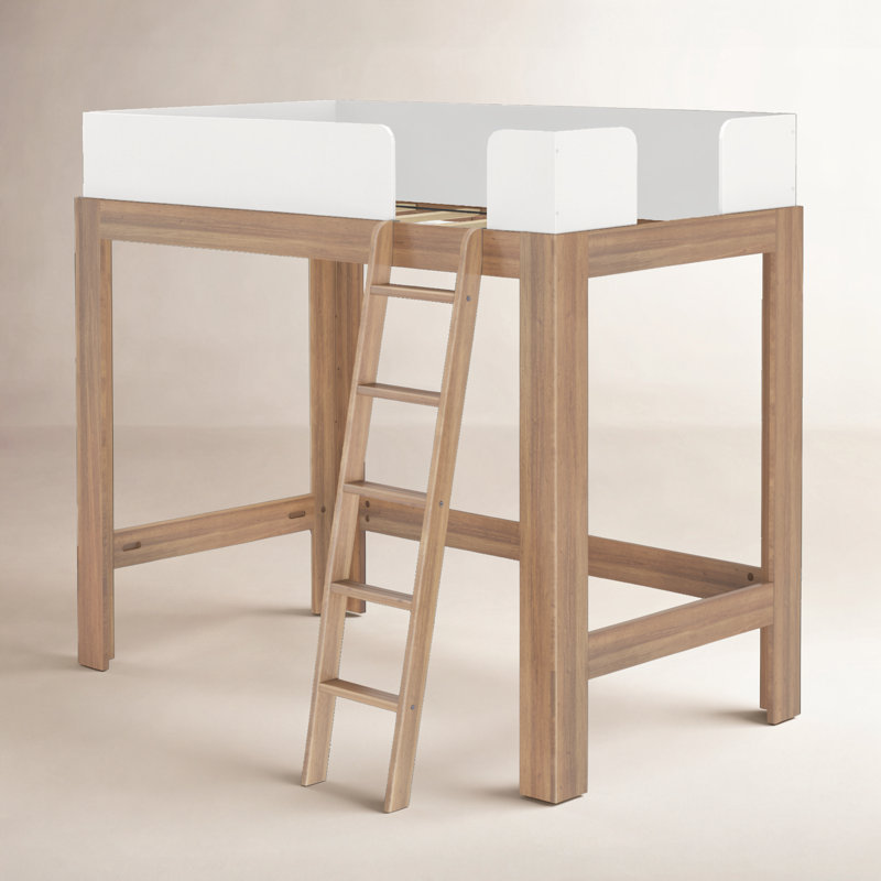 Ambur Twin Solid Wood Loft Bed, Brown/White