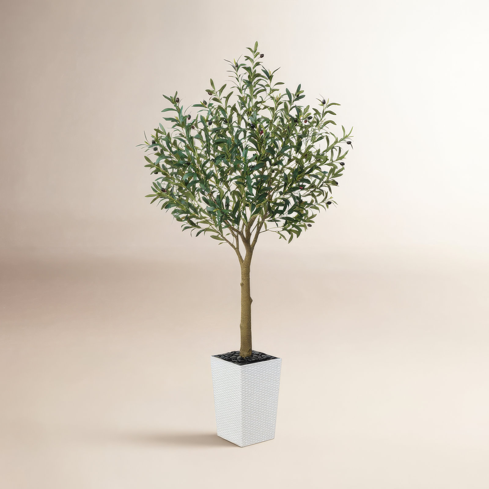 Altera Olive Tree in Decorative Vase, 72" H x 24" W x 24" D, White