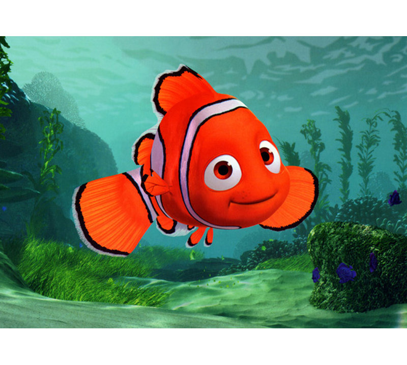 Nemo MCG-PFD1447