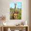 Brampt Awesome Afrique du Sud - Portrait de girafe I-108485514