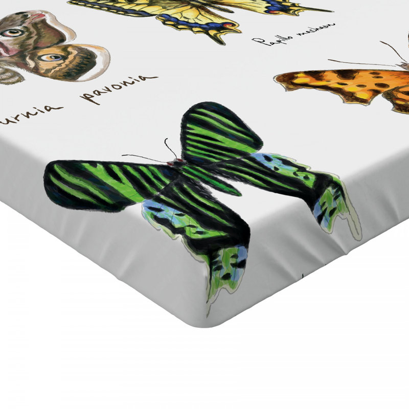 Microfiber Fitted Sheet, Twin XL Fitted Sheet