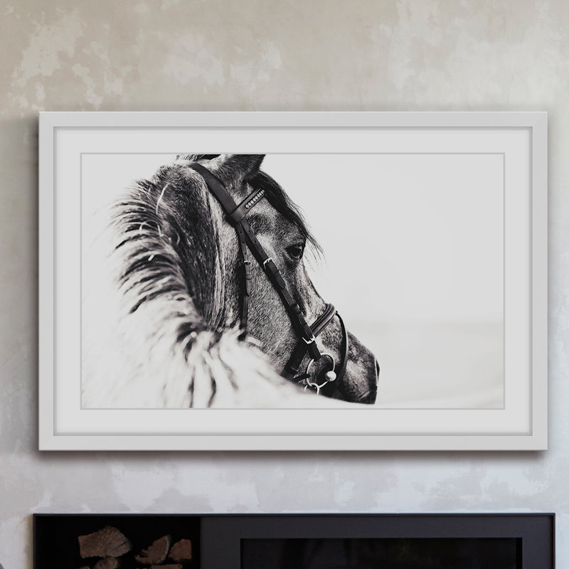 « equus profile », reproduction de photo sur papier encadrée, H 30 po x l 45 po x P 1,5 po