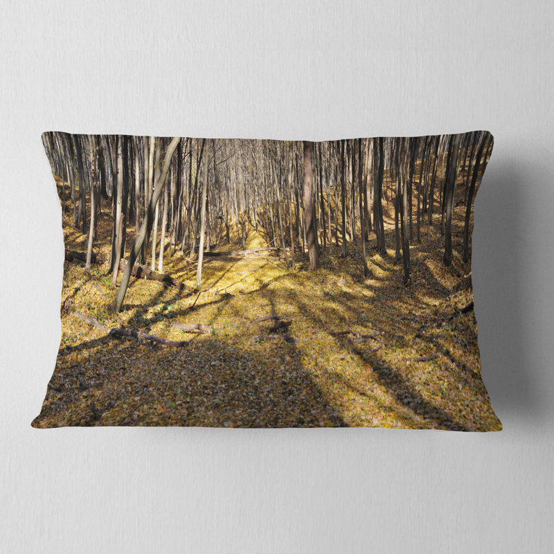 Coussin Schafer
