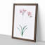 Nerine Lily Flowers by Pierre-Joseph Redoute - Framed Print-55577060-55577061