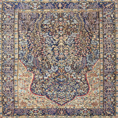 Oriental Indoor Rug