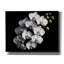  «Orchid Flowers 1» par Rey Klimt, art mural sur toile, 34 po x 26 po-77737079