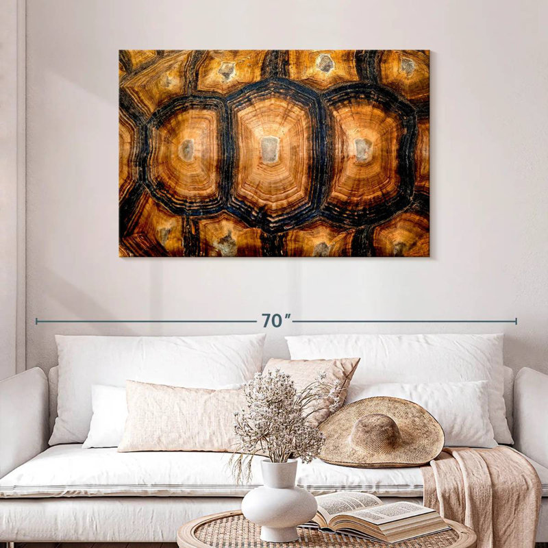 Carapace de tortue, H 30 po x l 45 po