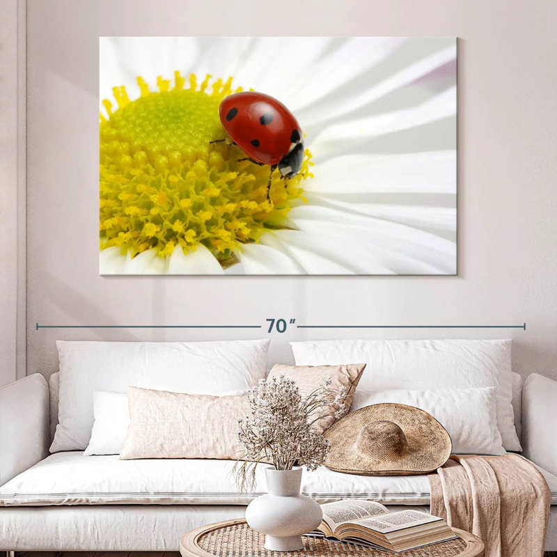 Ladybug On Chamomile, 34" H x 51" W