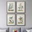 «Pastel Birds I», ensemble de 4 reproductions de cadres photo-1266957733-1266957734