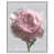 White Floater Frame