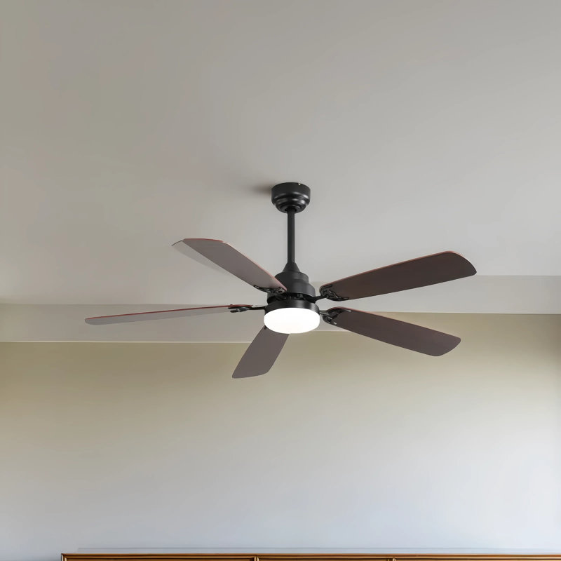 Confort époustouflant, style sans effort: ventilateur de plafond intelligent de 52 po avec DEL à intensité variable et 3 options de fixation
