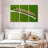 Striped Monarch Caterpillar-332610456