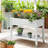 Tameia Raised Garden Bed