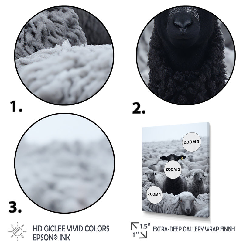 Solitude, chèvre - art mural animal de chèvre, Toile tendue, H 20 po x l 12 po x P 1 po