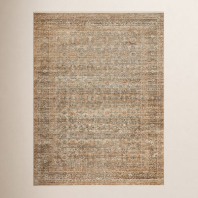 Amber Lewis x Loloi Molly Gold / Blue Area Rug