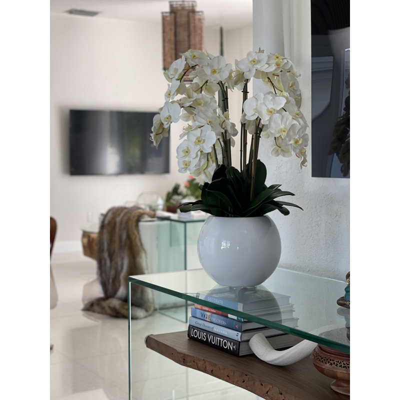 Phalaenopsis Orchid Floral Arrangement in Pot, White