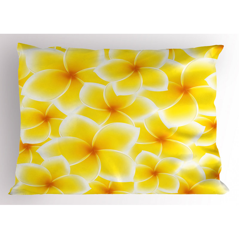 Polyester Floral Sham Set, Queen