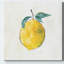 Joyeux citron - peinture sur toile tendue-2097583273