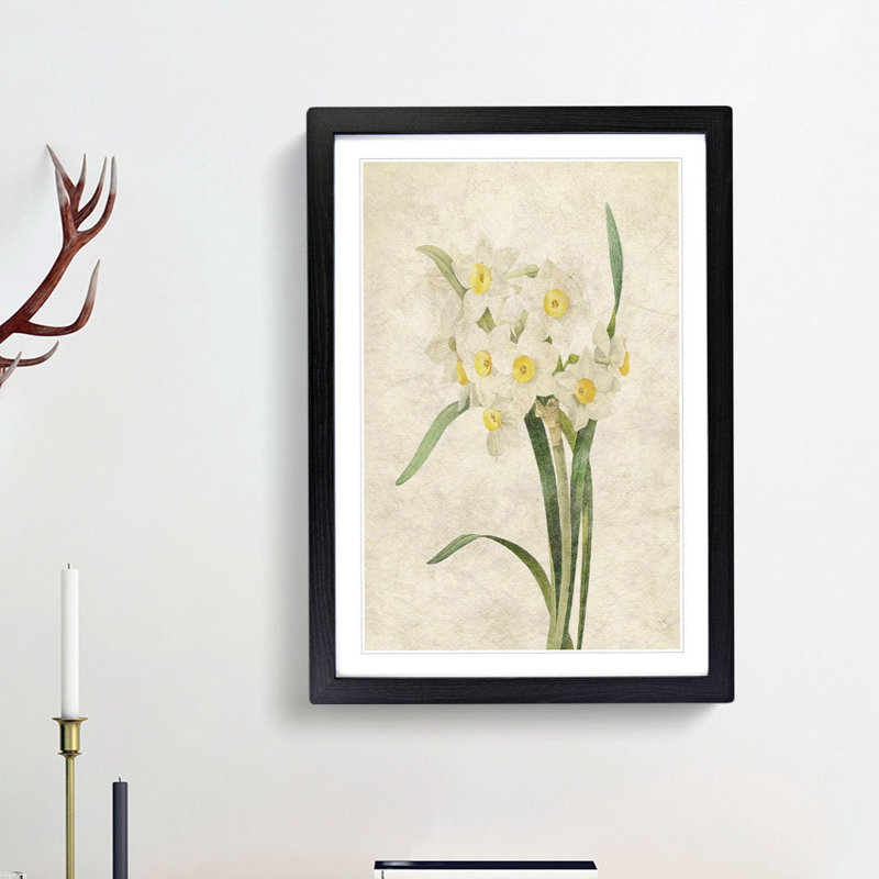 White Daffodils by Pierre-Joseph Redoute - Framed Print, 65cm H x 48cm W x 2cm D, Black Framed