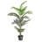 Faux Palm Tree in Pot-1345970930