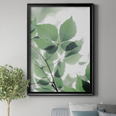 "Fields of Green II" par J Paul - reproduction de photo sur toile encadrée