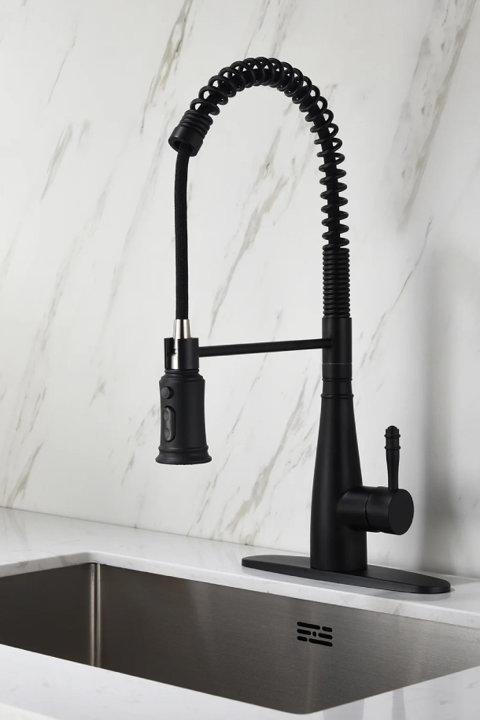 Kitchen Faucets