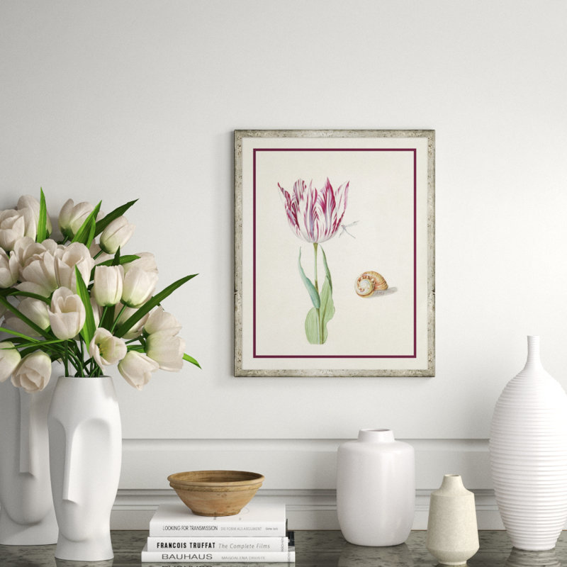 Flower Seashell and Insect IV Framed