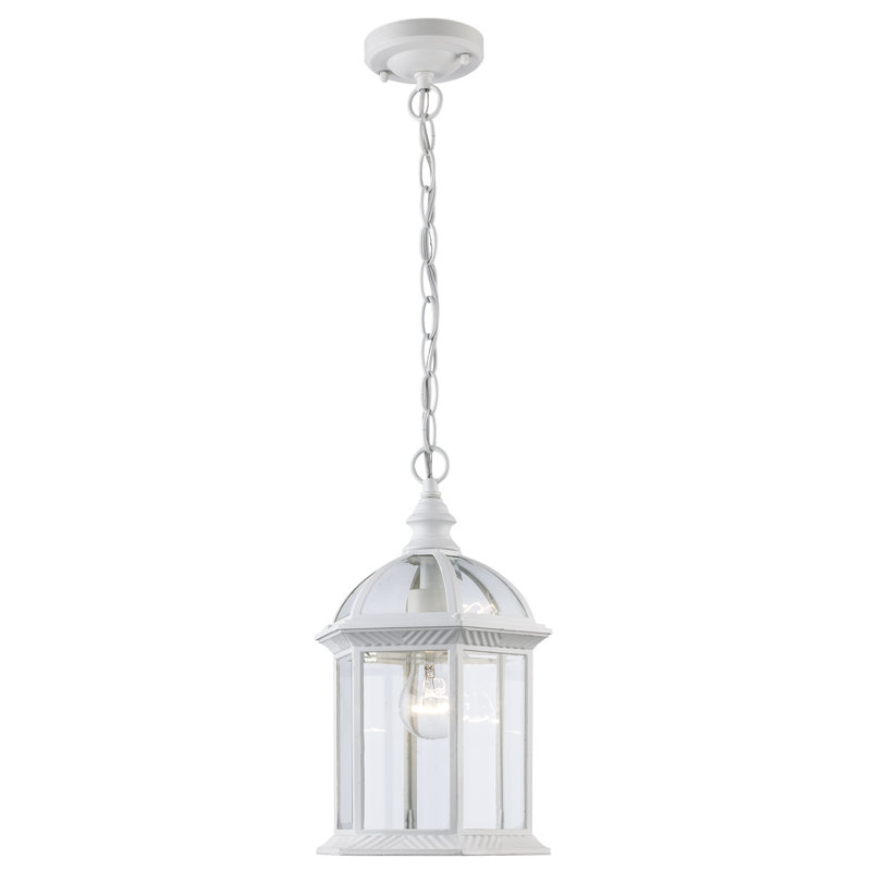 Roscoe 1 -Bulb 13.5" H Outdoor Hanging Lantern, White