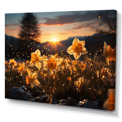 Daffodils Field Sunset I - impression