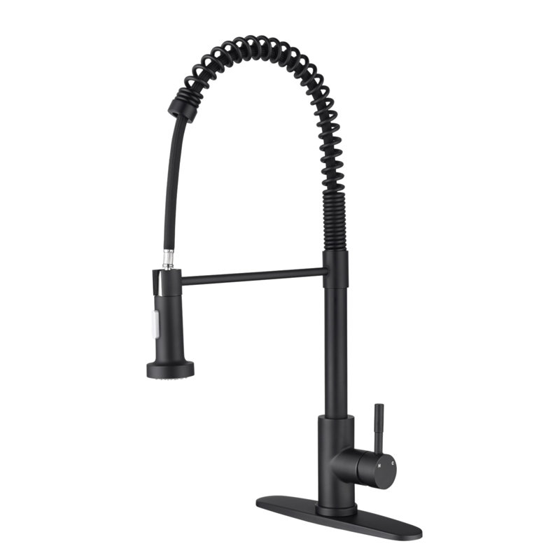 Robinet de cuisine avec douchette extractible