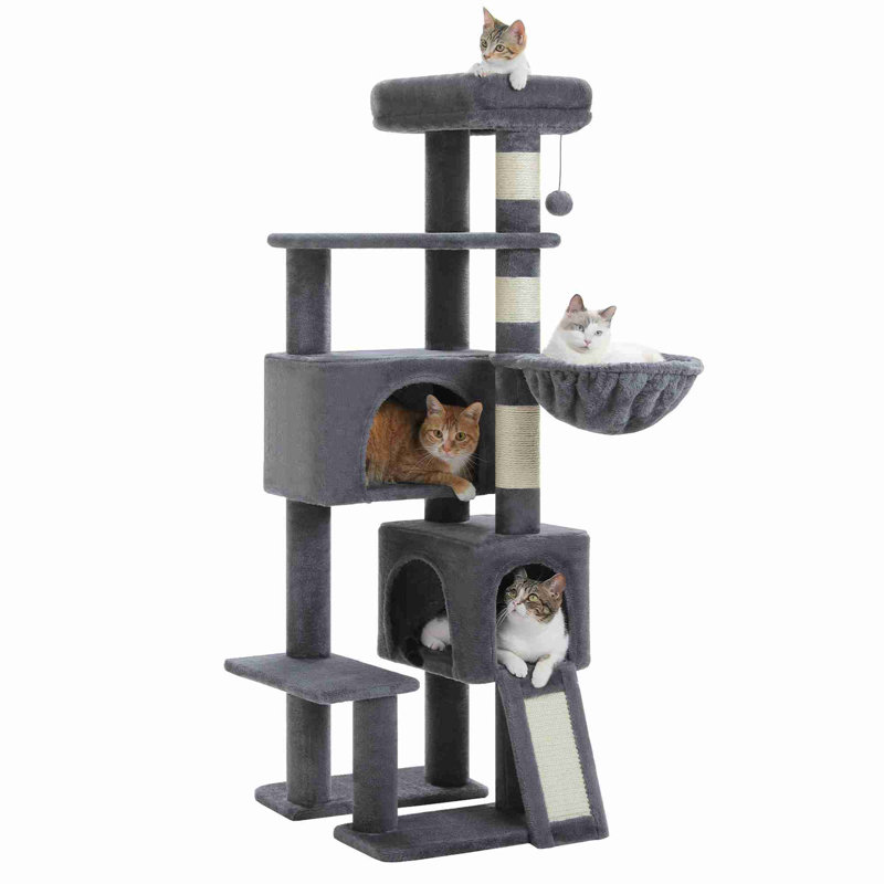 Arbre à chat, Gris foncé