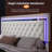 Chantaya Upholstered Platform Storage Bed-2123045526-2123045522