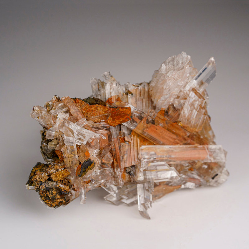 Gypse Var. Sélénite de Caverna de Saint-Domingue, Achiles Serdan, Chihuahua, Mexique